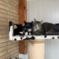 Suzan en Freek
