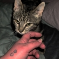 Xena